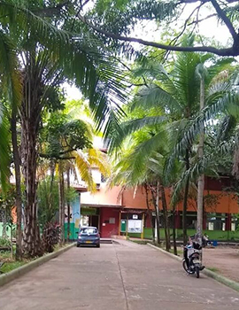 I.E. Liceo de Santa Librada de Neiva